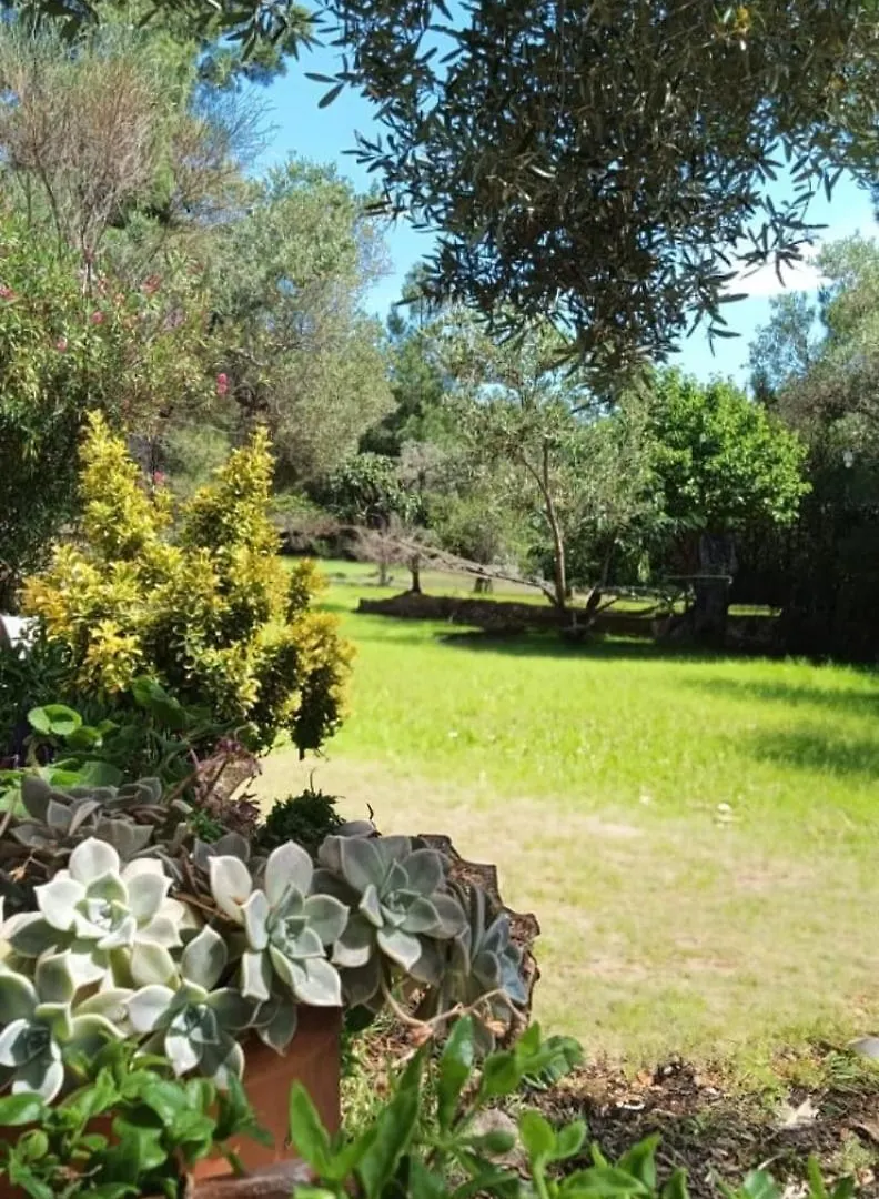Possidi Family House With Parking, Garden And Ac Villa Kalandra Greece
